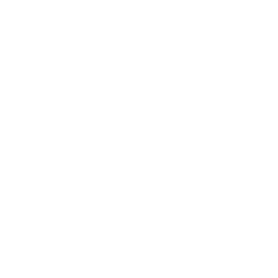 Immigration Authority