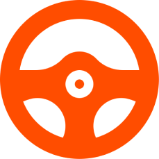 Driving Check Icon